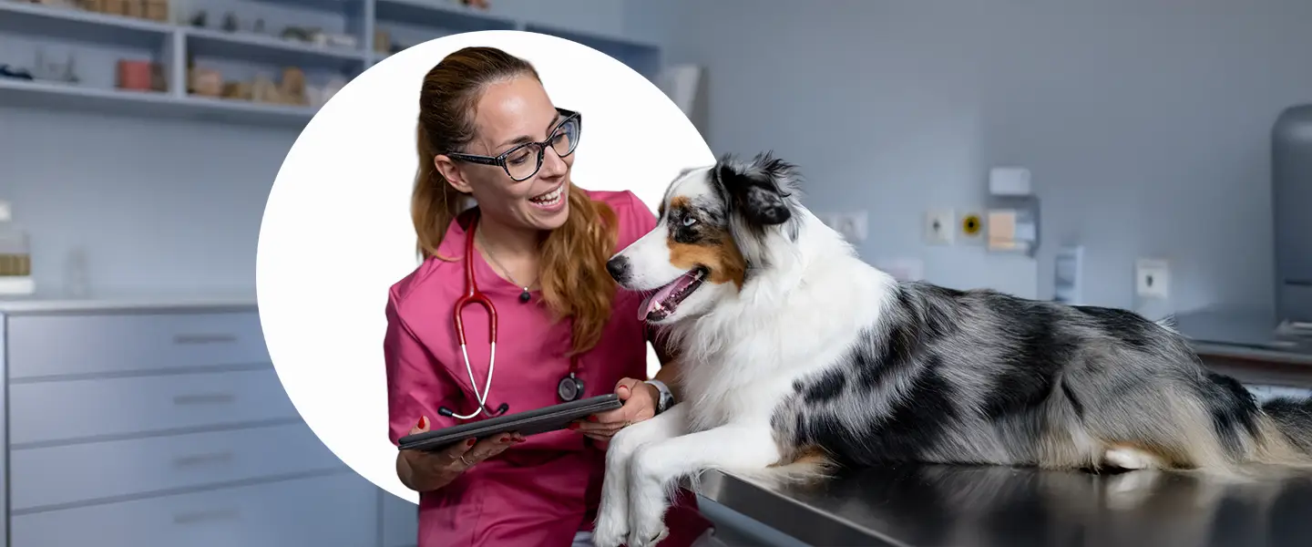 Workforce_Vet-Tech banner