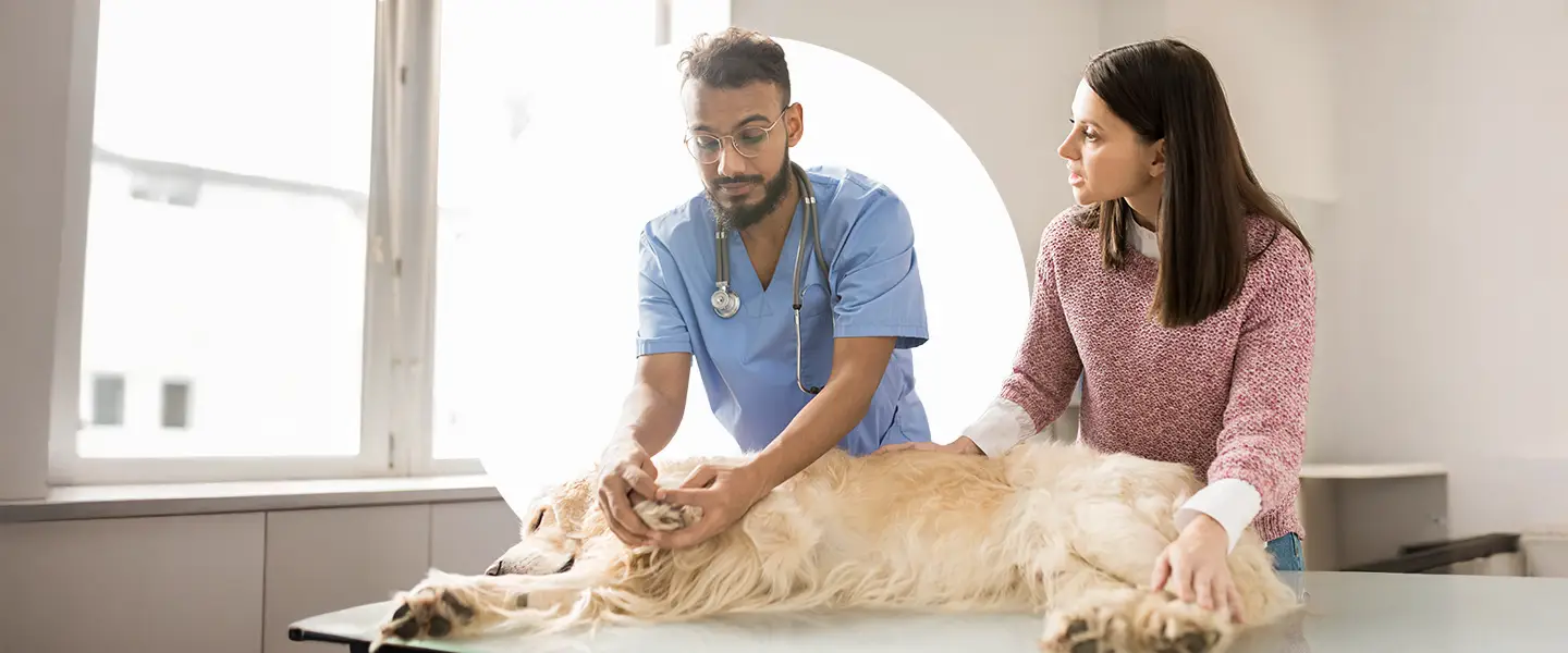 Workforce_Vet Banner